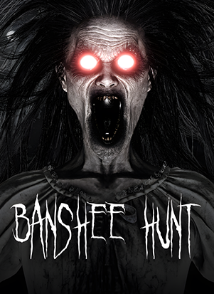 Banshee Hunt游戏卡片